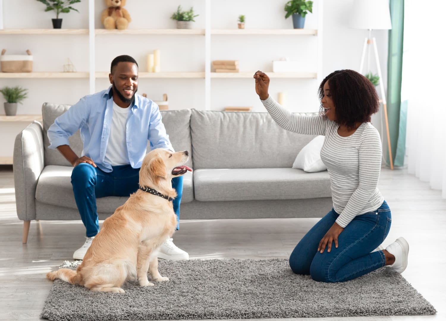 Pets-and-Pet-Care